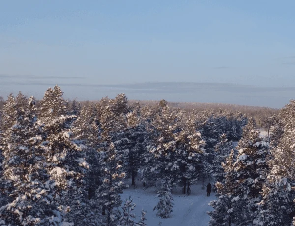 4 день: 27 ноября