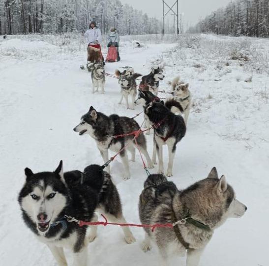 Программа (по предварительной заявке)