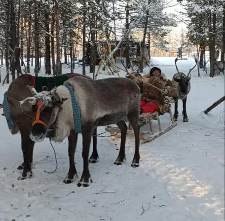 4 день: 27 ноября