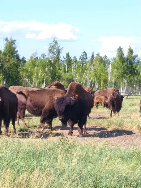 3 день: 24 июня 2026 г.
