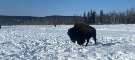 4 день: 11.03.2026 г.