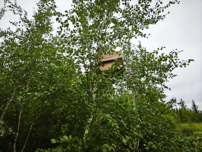 5 день. День релакса и природы