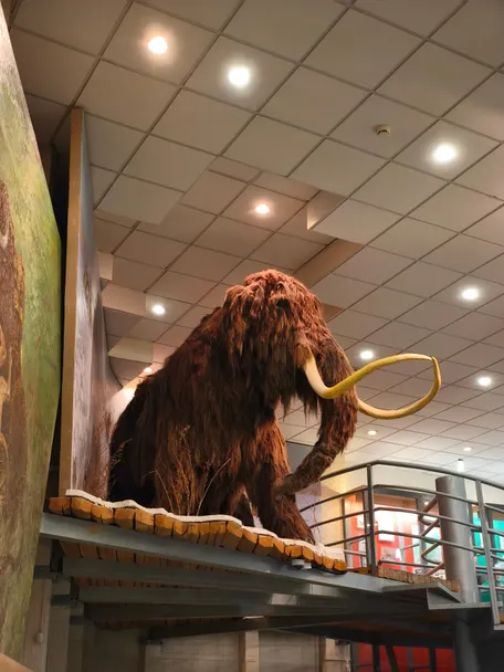 1 день: 24 ноября