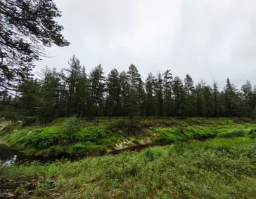 Эко тропа "Заповедная Кэнкэмэ"