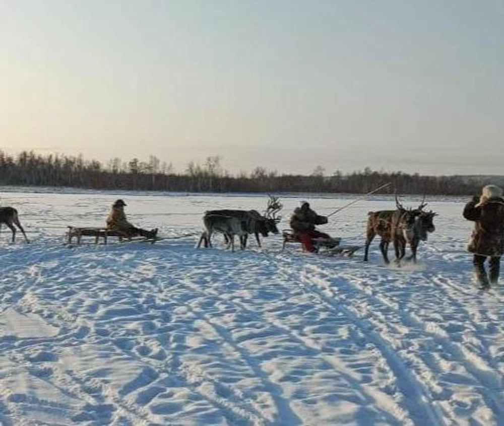 Программа (выезд по предварительным заявкам)