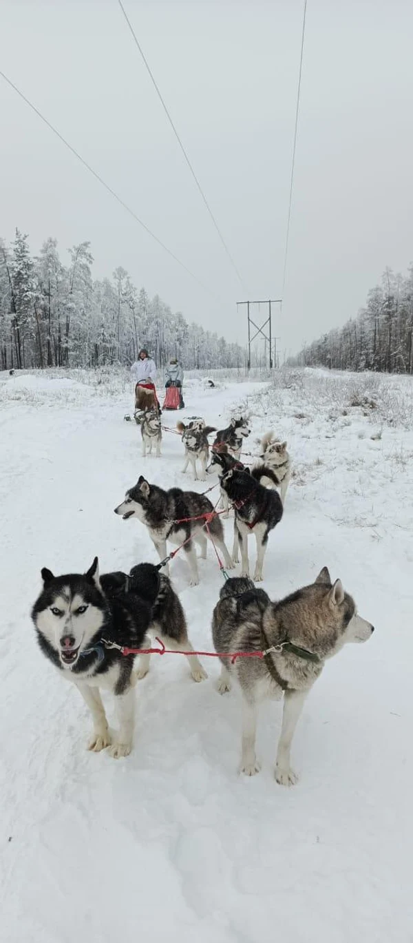 2 день: 9.03.2026 г.