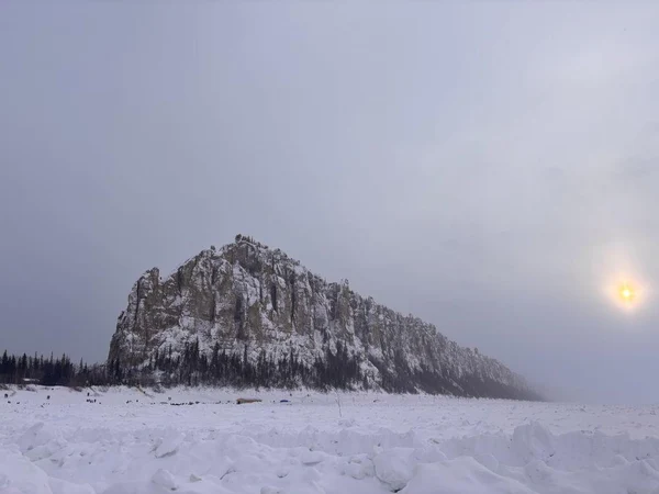 2 день: Ленские столбы и лесные бизоны