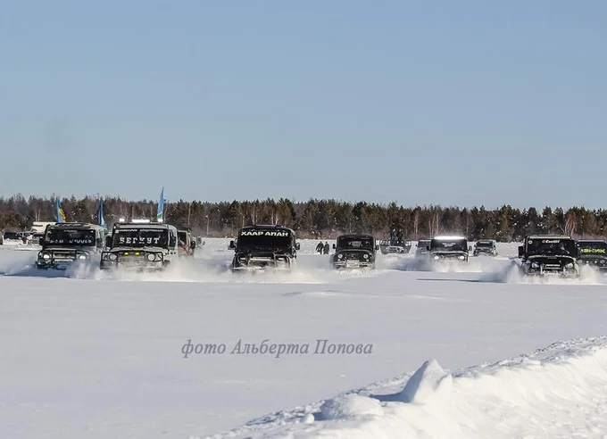 8 день: 15.03.2026 г.