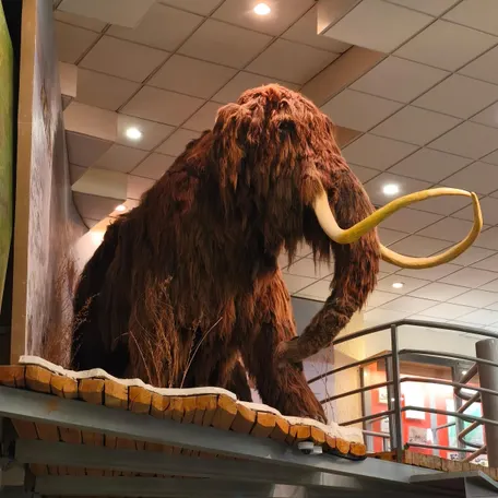 1 день: 8.03.2026 г.