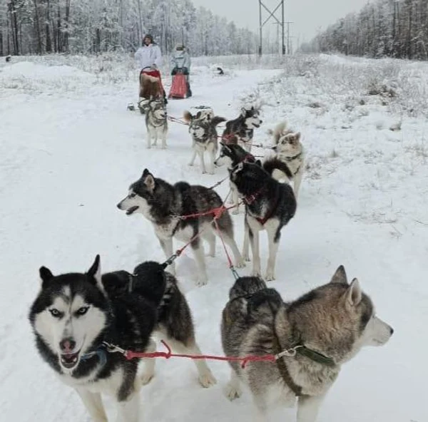 5 день: 28 ноября