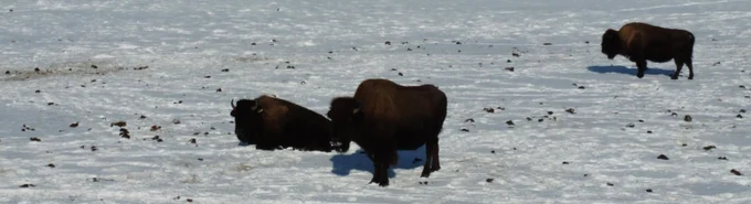 4 день: 11.03.2026 г.