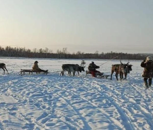 4 день: 27 ноября