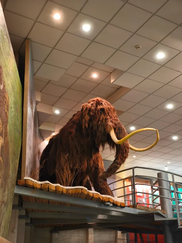 1 день: 24 ноября