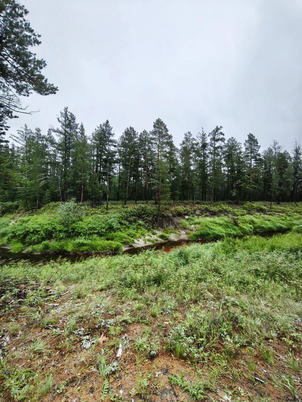 5 день. День релакса и природы