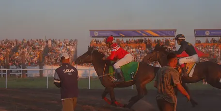 7 день: 28 июня 2026 г.