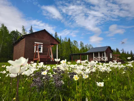 7 день: 2 июля