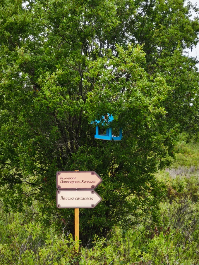 5 день. День релакса и природы