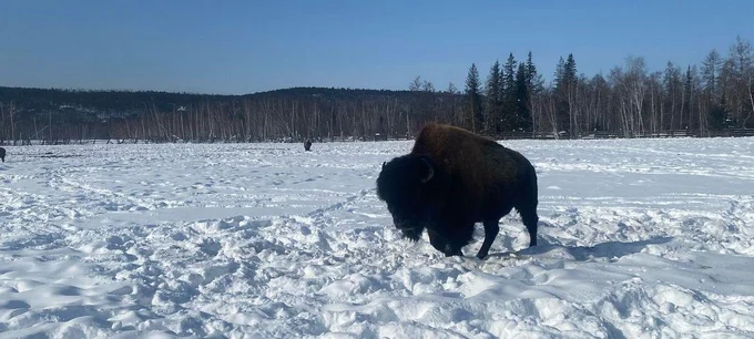 4 день: 11.03.2026 г.