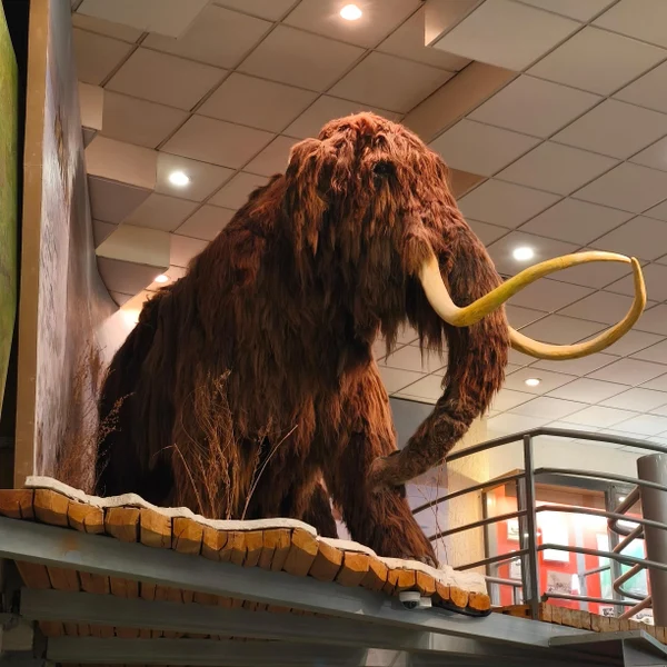 1 день: 8.03.2026 г.