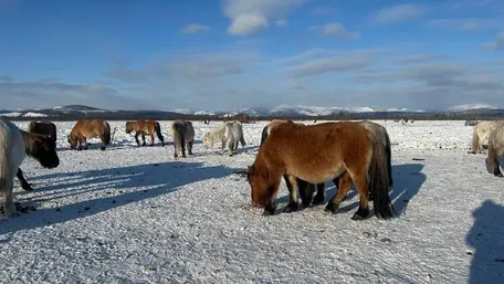 5 день: Полюс Холода Оймякон