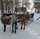 Программа (выезд по предварительным заявкам)