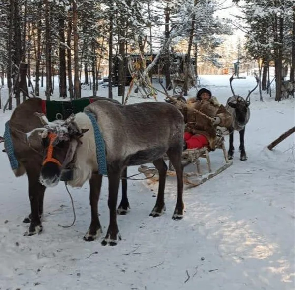 4 день: 27 ноября