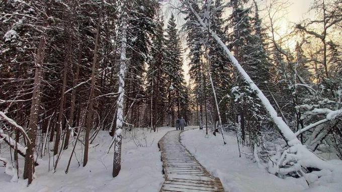2 день: Ленские столбы и лесные бизоны
