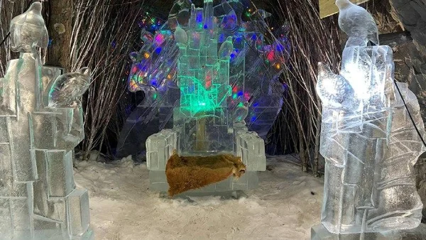 30.03.2026 г. Третий день фестиваля: Сордонноох и Томтор