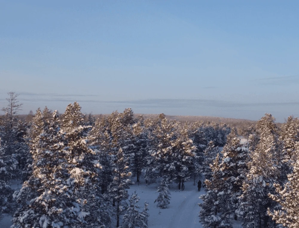 Программа (выезд по предварительным заявкам)