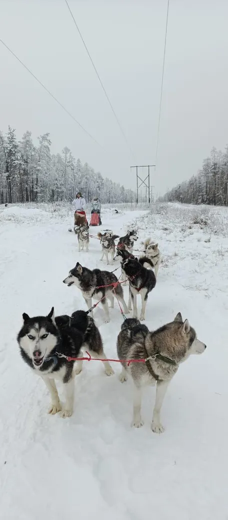 2 день: 9.03.2026 г.