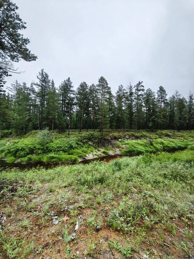 5 день. День релакса и природы