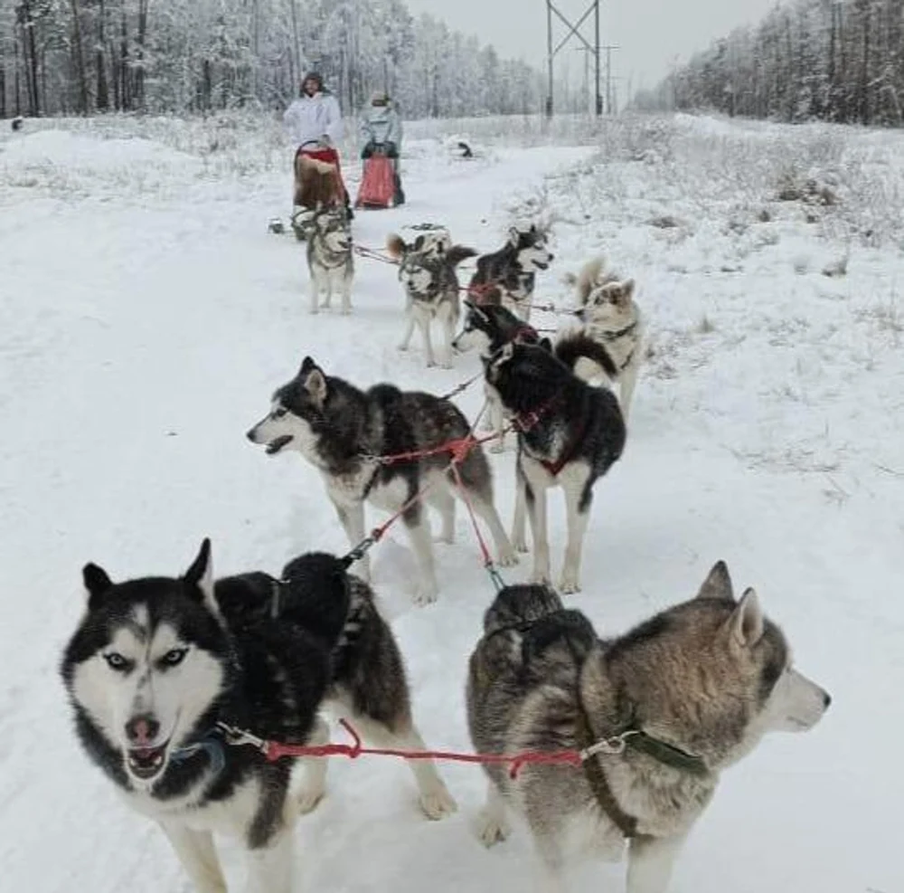 Программа (по предварительной заявке)
