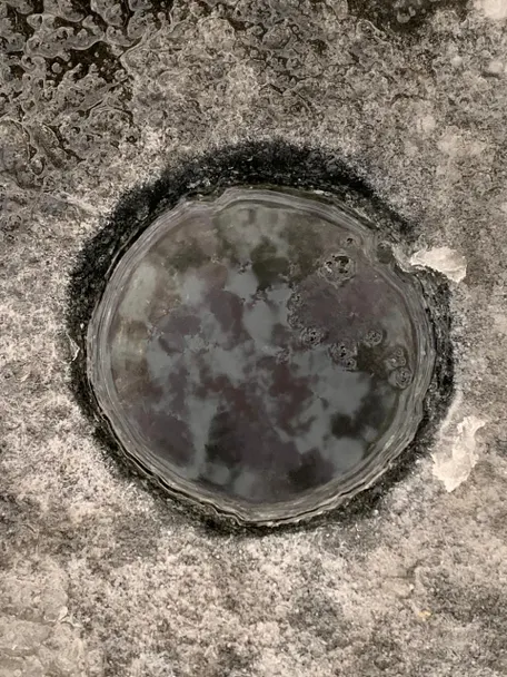 3 день: 26 ноября