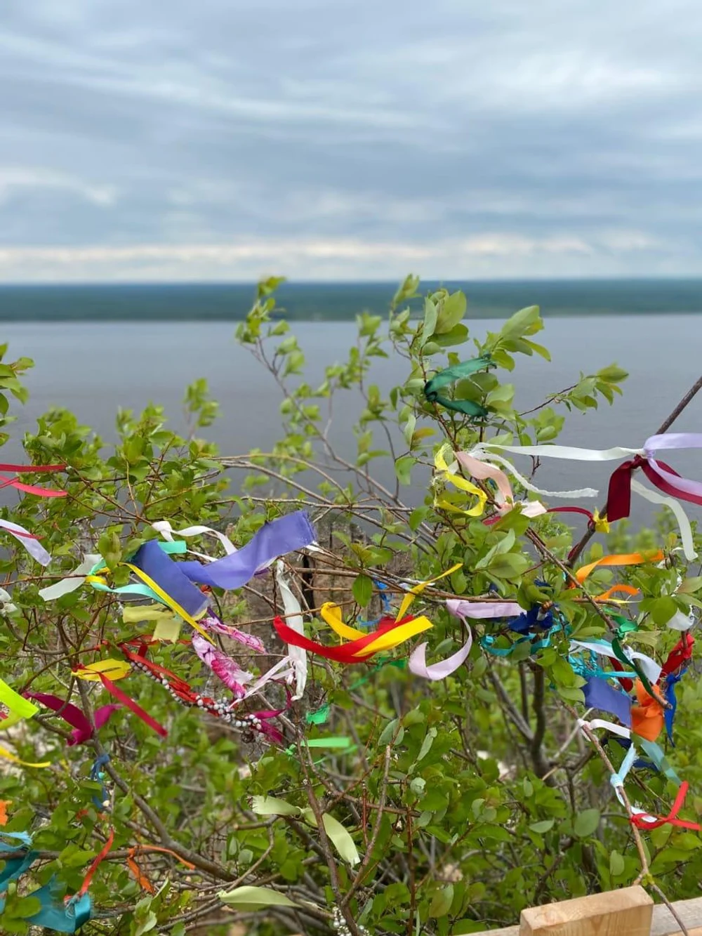 1 день: Ленские столбы