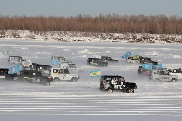 8 день: 15.03.2026 г.