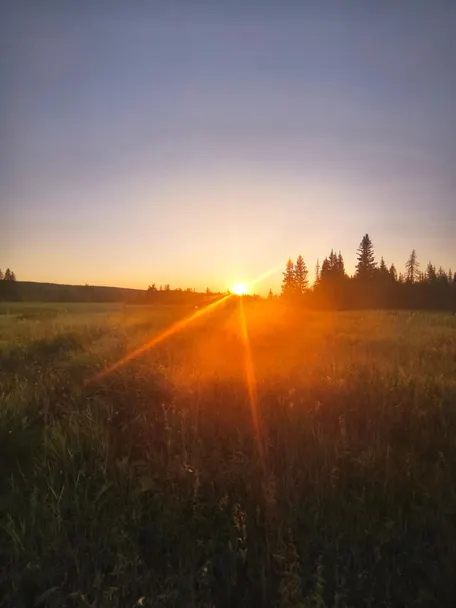 7 день: 2 июля