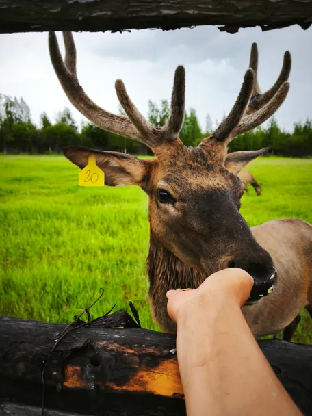 3 день: 24 июня 2026 г.