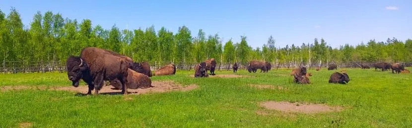 Всегда на связи