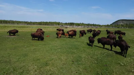 3 день: 24 июня 2026 г.