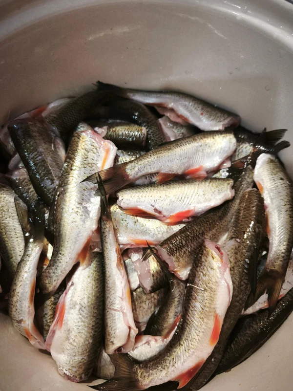 2 день: Сила природы и вкус приключений