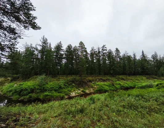 Эко тропа "Заповедная Кэнкэмэ"